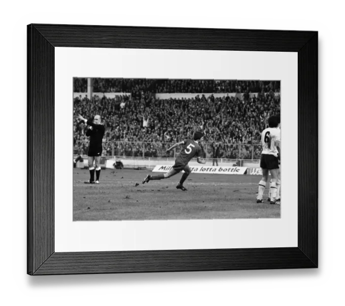 Framed Print : Liverpool v Tottenham Hotspur, Football League Cup Final at Wembley Stadium