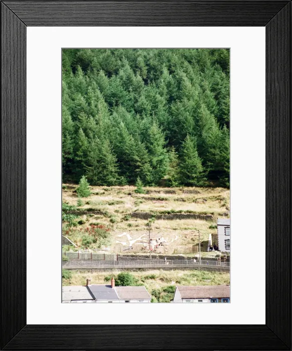Framed Print : A huge Dragon made from recycled marble on the hillside in Blaenllechau Framed Print : A huge Dragon made from recycled marble on the hillside in Blaenllechau