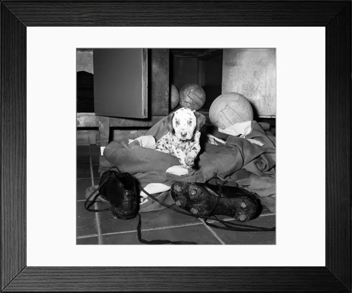 Framed Print : Behind the scenes at Real Madrid Football Club, Santiago Bernabeu Stadium, Madrid, Spain Framed Print : Behind the scenes at Real Madrid Football Club, Santiago Bernabeu Stadium, Madrid, Spain