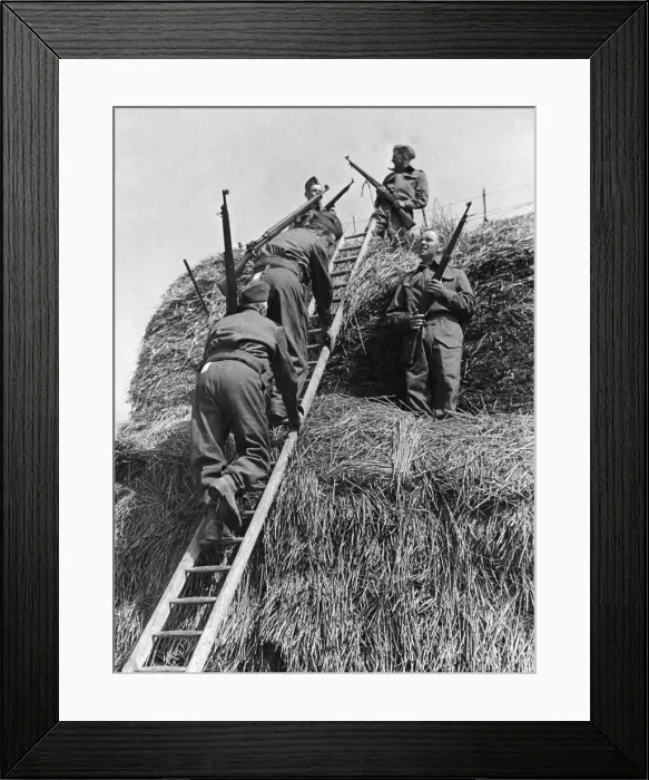 Framed Print : Soldiers of the British Army climbing a haystack during an anti invasion exercise in