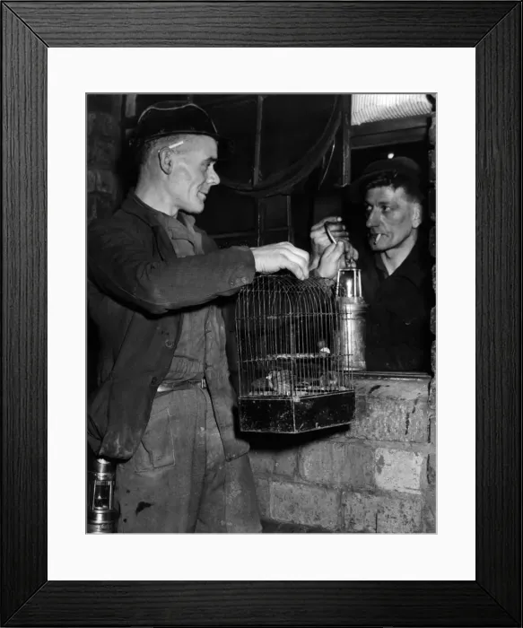 Framed Print : The Hamstead Colliery Fire of 4th March 1908, killed 26 men in one day Framed Print : The Hamstead Colliery Fire of 4th March 1908, killed 26 men in one day
