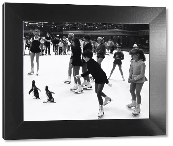 Two penguins, pretending not to notice all the other ice skaters are quite unconcerned by