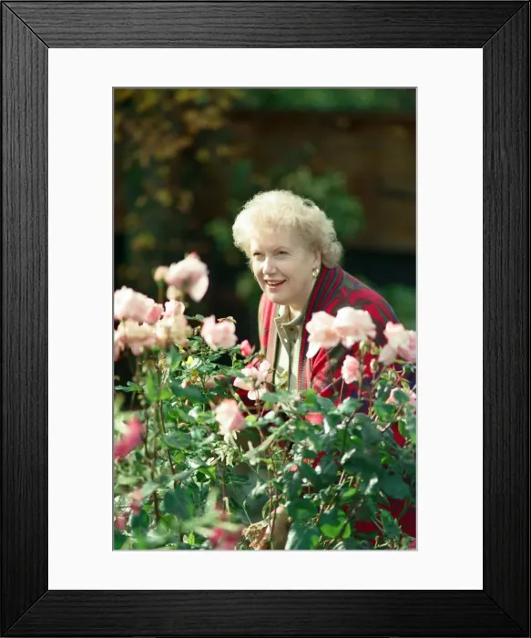 Framed Print : Denise Robertson feature. 27th October 1989 Framed Print : Denise Robertson feature. 27th October 1989