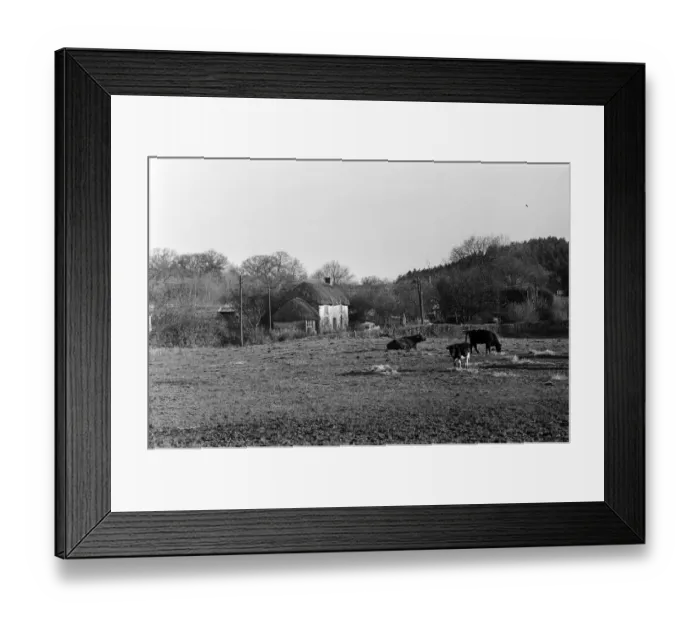 Framed Print : Village scenes in Morden, Dorset. 9th March 1967 Framed Print : Village scenes in Morden, Dorset. 9th March 1967