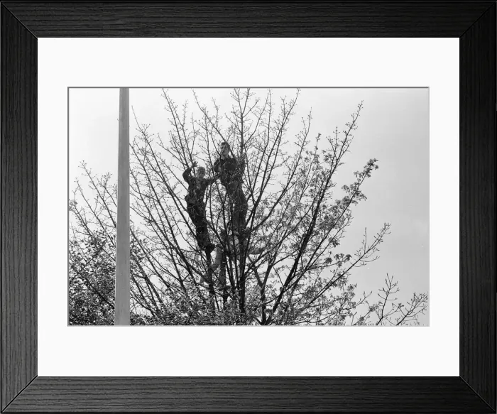 Framed Print : Liverpool FC, Homecoming Victory Parade after winning the FA Cup Framed Print : Liverpool FC, Homecoming Victory Parade after winning the FA Cup