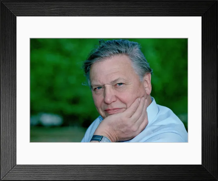 Framed Print : Sir David Attenborough. Television Wildlife and Nature Presenter Portraits