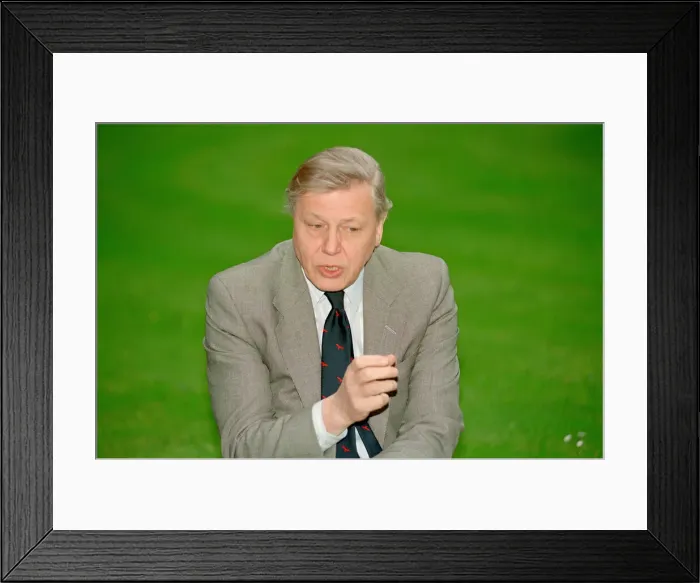 Framed Print : Sir David Attenborough. Television Wildlife and Nature Presenter Portraits Framed Print : Sir David Attenborough. Television Wildlife and Nature Presenter Portraits