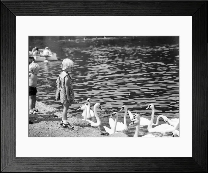 Framed Print : Water Carnival, Thameside, July 1976. General Scenes