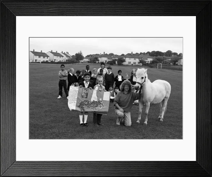 Framed Print : Saddle up... Pupils at Bradley Junior School have been collecting copper for the Riding Framed Print : Saddle up... Pupils at Bradley Junior School have been collecting copper for the Riding
