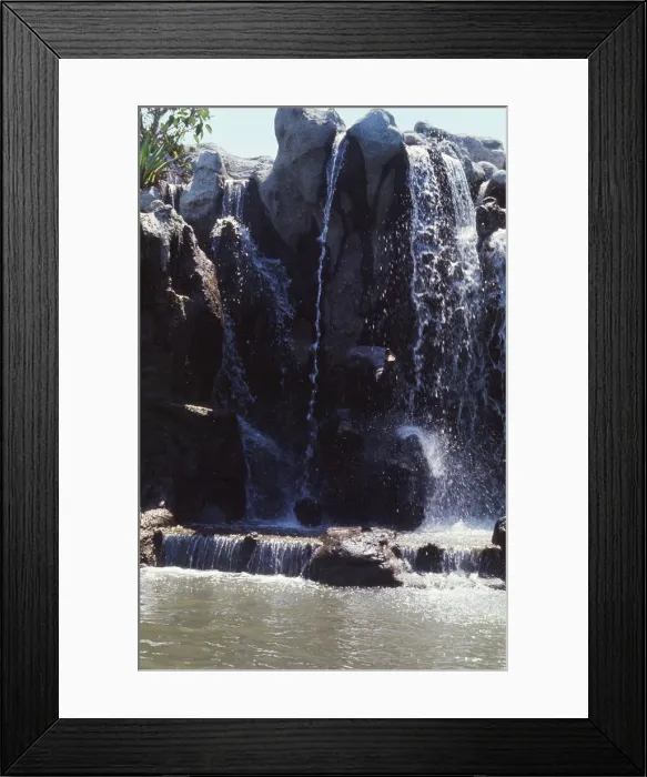 Framed Print : Scenes at the Disneyland theme park in Anaheim, California, United States
