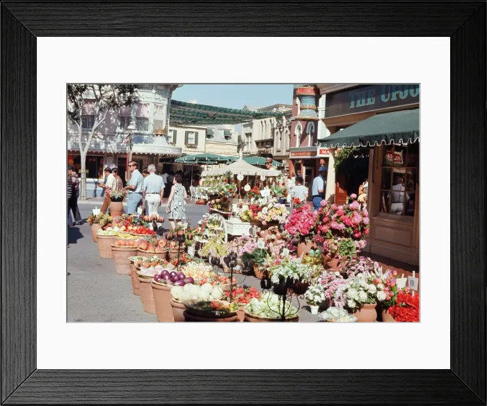 Framed Print : Scenes at the Disneyland theme park in Anaheim, California, United States Framed Print : Scenes at the Disneyland theme park in Anaheim, California, United States