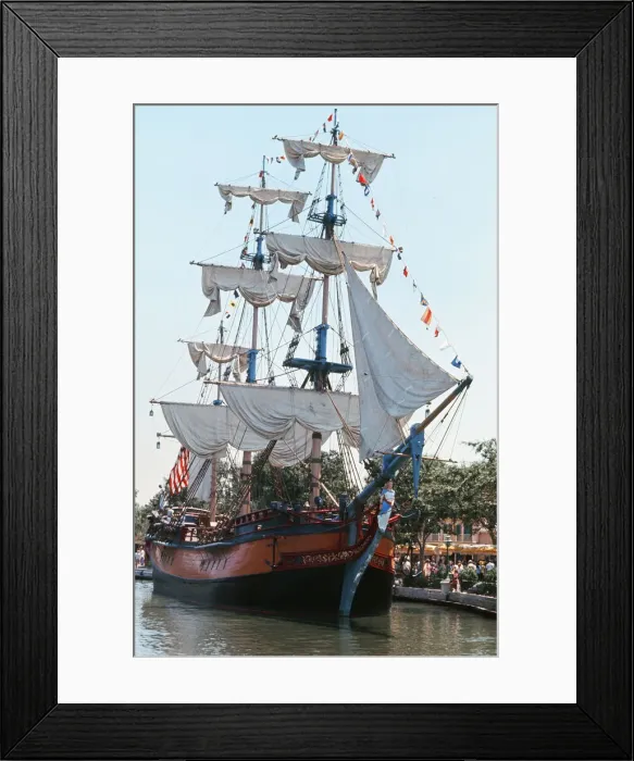 Framed Print : Scenes at the Disneyland theme park in Anaheim, California, United States Framed Print : Scenes at the Disneyland theme park in Anaheim, California, United States