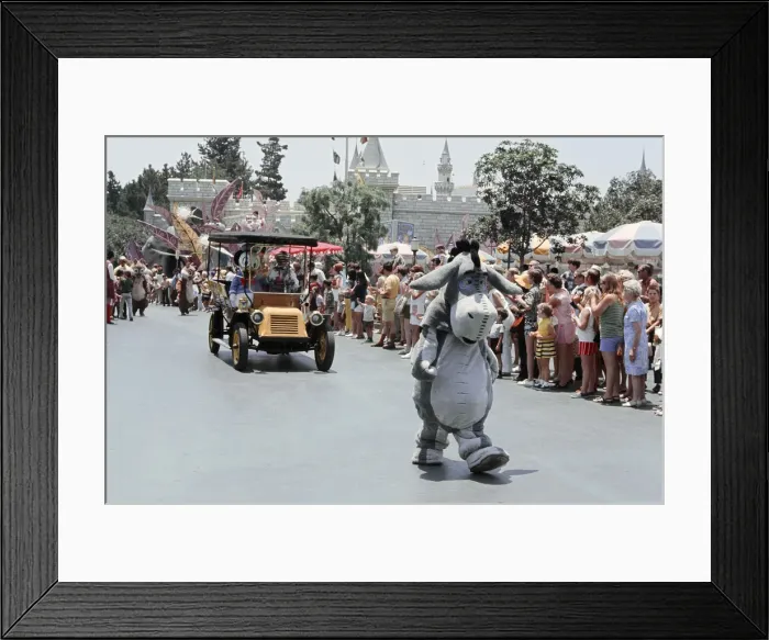 Framed Print : Scenes at the Disneyland theme park in Anaheim, California, United States Framed Print : Scenes at the Disneyland theme park in Anaheim, California, United States