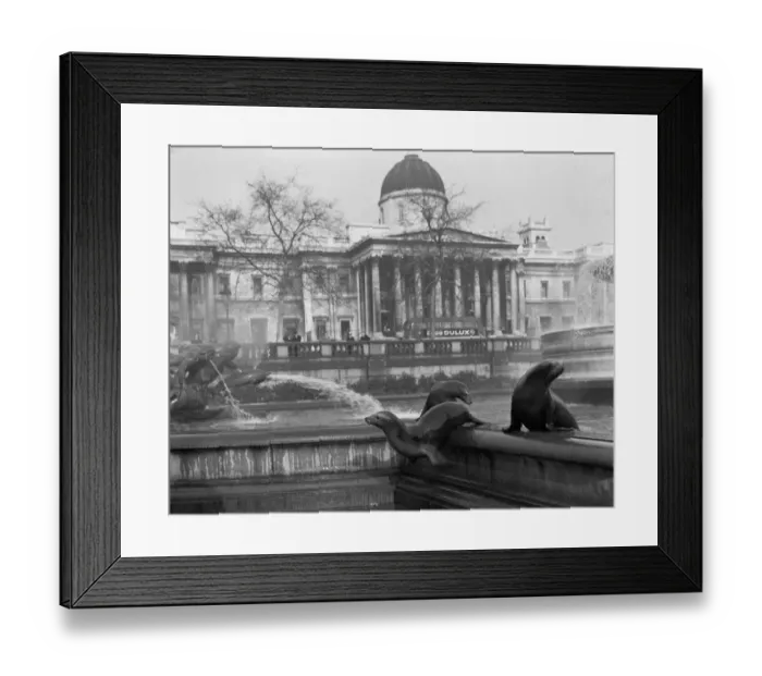 Framed Print : It was exactly 11. 50am on a cold bright morning at Trafalgar Square when four 8 year old
