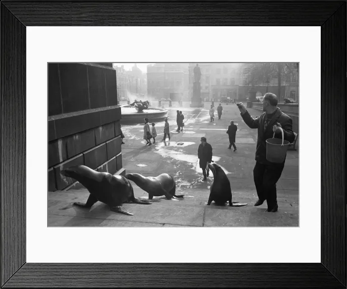 Framed Print : It was exactly 11. 50am on a cold bright morning at Trafalgar Square when four 8 year old