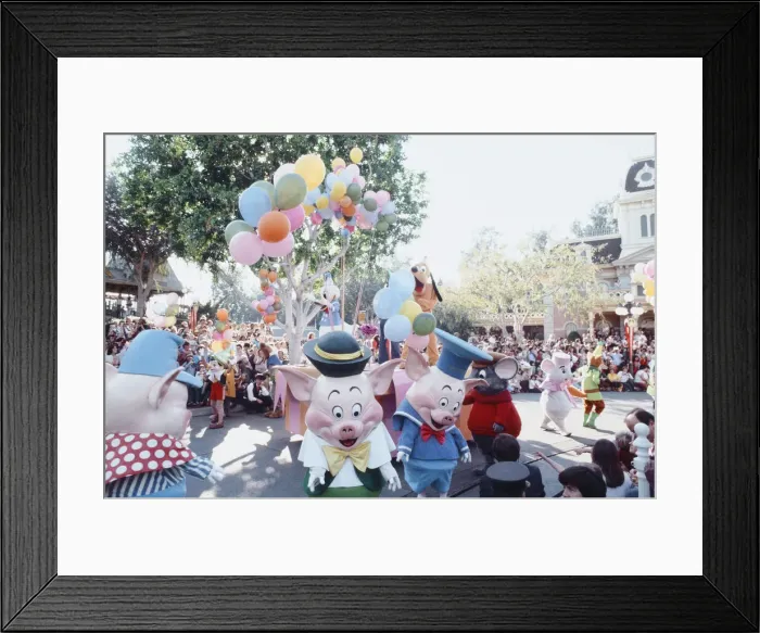 Framed Print : Scenes at the Disneyland theme park in Anaheim, California Framed Print : Scenes at the Disneyland theme park in Anaheim, California