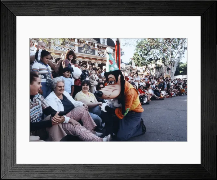 Framed Print : Scenes at the Disneyland theme park in Anaheim, California Framed Print : Scenes at the Disneyland theme park in Anaheim, California