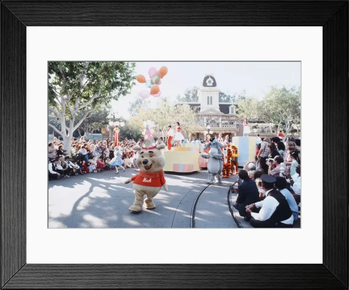 Framed Print : Scenes at the Disneyland theme park in Anaheim, California Framed Print : Scenes at the Disneyland theme park in Anaheim, California