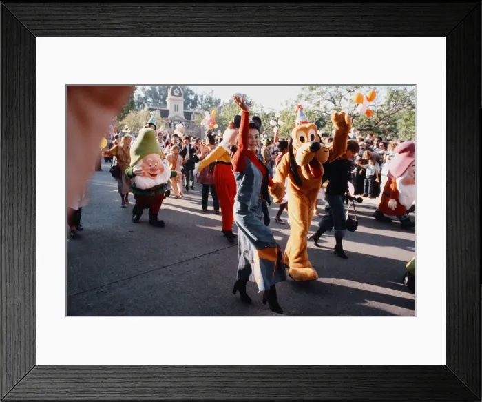 Framed Print : Scenes at the Disneyland theme park in Anaheim, California Framed Print : Scenes at the Disneyland theme park in Anaheim, California