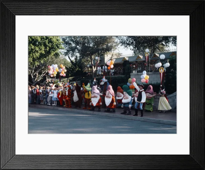 Framed Print : Scenes at the Disneyland theme park in Anaheim, California Framed Print : Scenes at the Disneyland theme park in Anaheim, California