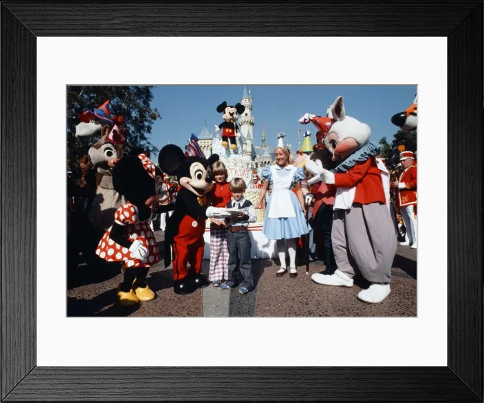 Framed Print : Scenes at the Disneyland theme park in Anaheim, California