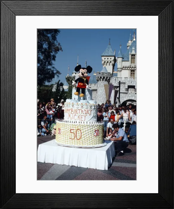 Framed Print : Scenes at the Disneyland theme park in Anaheim, California