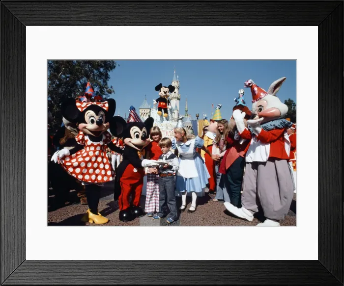 Framed Print : Scenes at the Disneyland theme park in Anaheim, California
