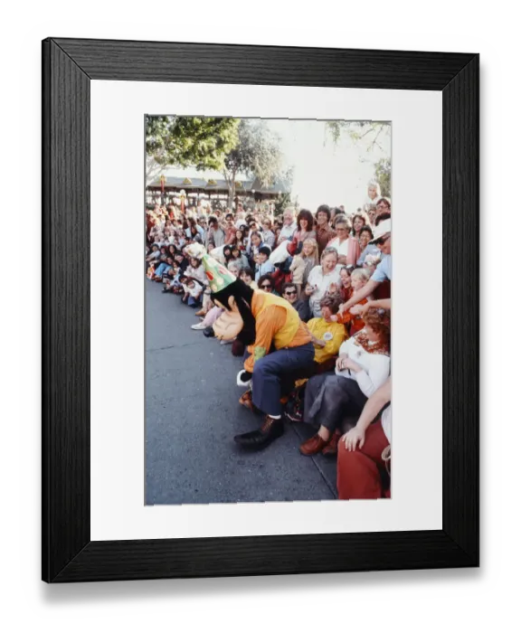 Framed Print : Scenes at the Disneyland theme park in Anaheim, California