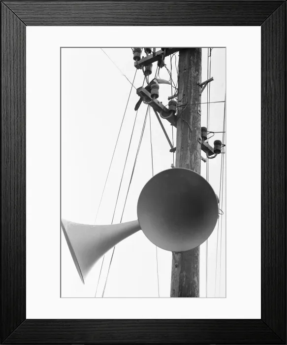Framed Print : Calling all toucans. Toby a five year old sulpher breasted toucan got out of his cage Framed Print : Calling all toucans. Toby a five year old sulpher breasted toucan got out of his cage