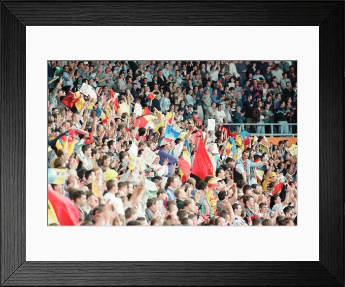 Framed Print : Romania 0-1 France, Euro 1996 Group B match at St James Park, Newcastle