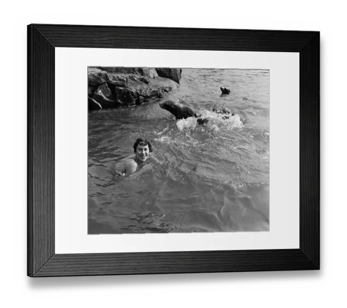 Framed Print : Swim Pals. Dive in, said the sea lions. Thanks, I will, said Carol Fisher, age 17