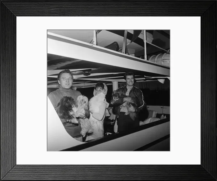 Framed Print : Enjoying a rather expensive quarantine, the dogs of Elizabeth Taylor Framed Print : Enjoying a rather expensive quarantine, the dogs of Elizabeth Taylor