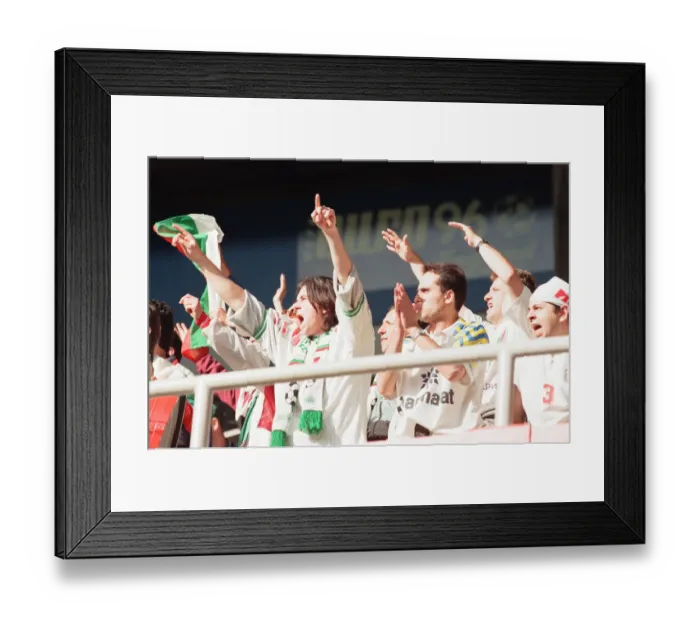 Framed Print : Bulgaria 1-0 Romania, Euro 1996 Group B match at St James Park, Newcastle