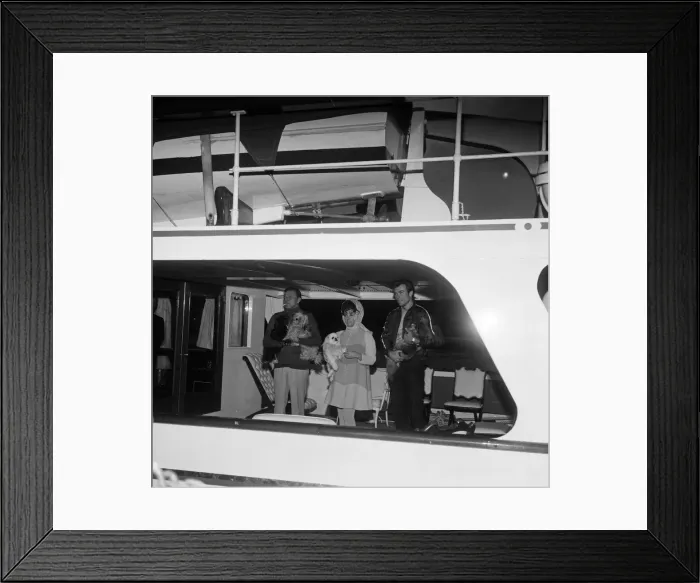 Framed Print : Enjoying a rather expensive quarantine, the dogs of Elizabeth Taylor Framed Print : Enjoying a rather expensive quarantine, the dogs of Elizabeth Taylor