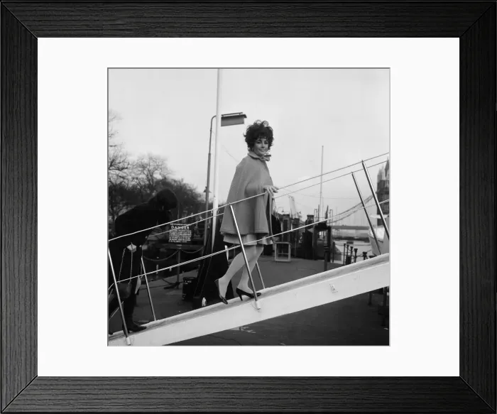 Framed Print : Enjoying a rather expensive quarantine, the dogs of Elizabeth Taylor Framed Print : Enjoying a rather expensive quarantine, the dogs of Elizabeth Taylor