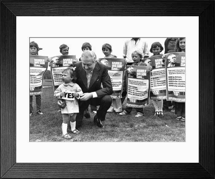 Framed Print : UK European Communities Membership Referendum, 1975, also known as the Common Market Framed Print : UK European Communities Membership Referendum, 1975, also known as the Common Market