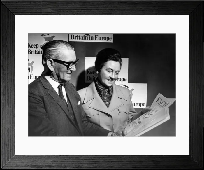 Framed Print : UK European Communities Membership Referendum, 1975, also known as the Common Market Framed Print : UK European Communities Membership Referendum, 1975, also known as the Common Market