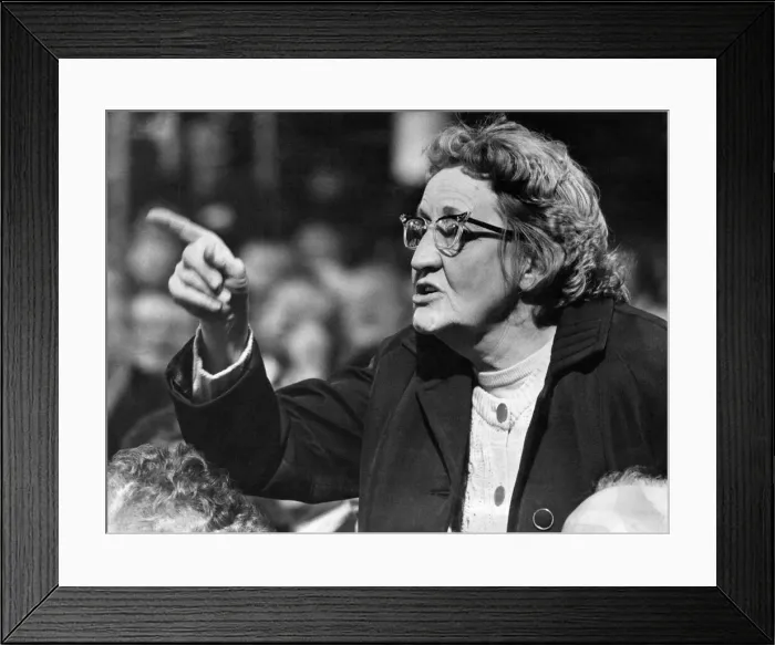 Framed Print : UK European Communities Membership Referendum, 1975, also known as the Common Market Framed Print : UK European Communities Membership Referendum, 1975, also known as the Common Market