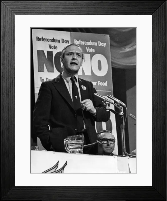 Framed Print : UK European Communities Membership Referendum, 1975, also known as the Common Market Framed Print : UK European Communities Membership Referendum, 1975, also known as the Common Market