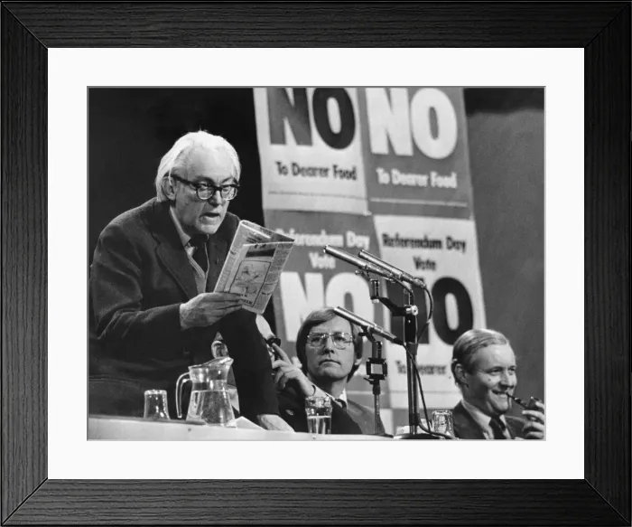 Framed Print : UK European Communities Membership Referendum, 1975, also known as the Common Market Framed Print : UK European Communities Membership Referendum, 1975, also known as the Common Market