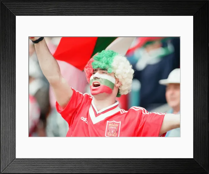 Framed Print : Bulgaria 1-0 Romania, Euro 1996 Group B match at St James Park, Newcastle