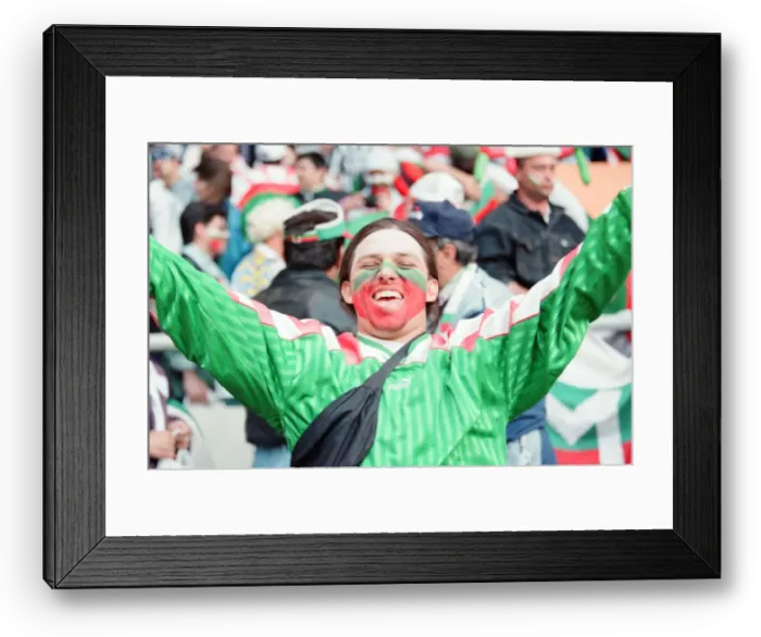 Framed Print : Bulgaria 1-0 Romania, Euro 1996 Group B match at St James Park, Newcastle