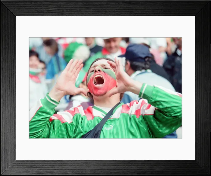 Framed Print : Bulgaria 1-0 Romania, Euro 1996 Group B match at St James Park, Newcastle