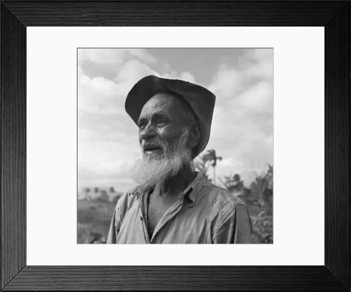 Framed Print : One of the descendants of indentured East Indian labourers brought to Trinidad in Framed Print : One of the descendants of indentured East Indian labourers brought to Trinidad in