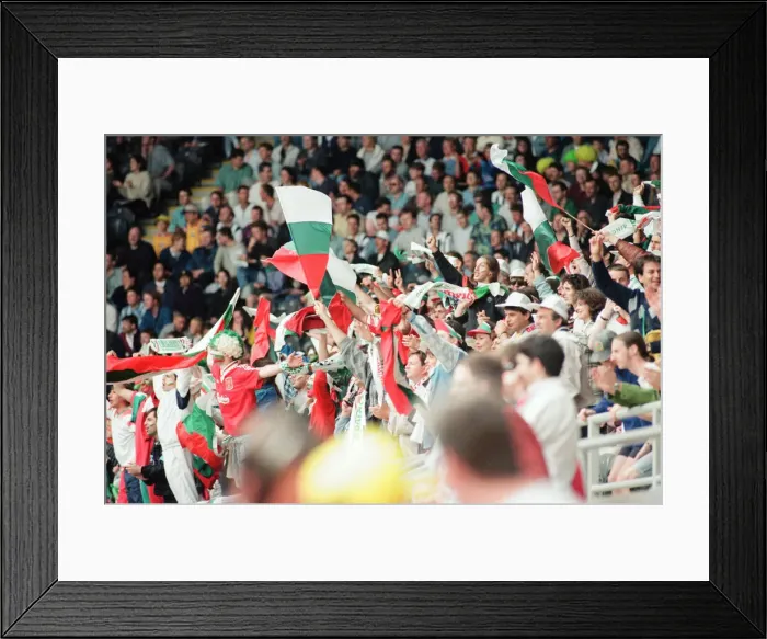 Framed Print : Bulgaria 1-0 Romania, Euro 1996 Group B match at St James Park, Newcastle Framed Print : Bulgaria 1-0 Romania, Euro 1996 Group B match at St James Park, Newcastle