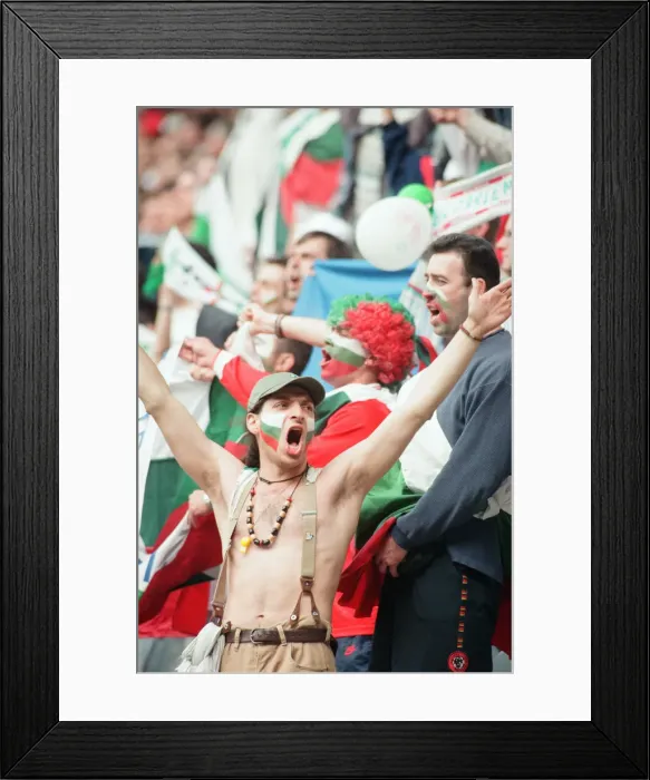 Framed Print : France 3-1 Bulgaria, Euro 1996 Group B match at St James Park, Newcastle