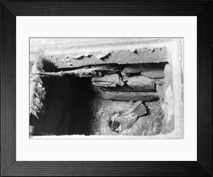 Framed Print : Somewhere in Kent, there is a sports club with a membership between 4 - 5 thousand