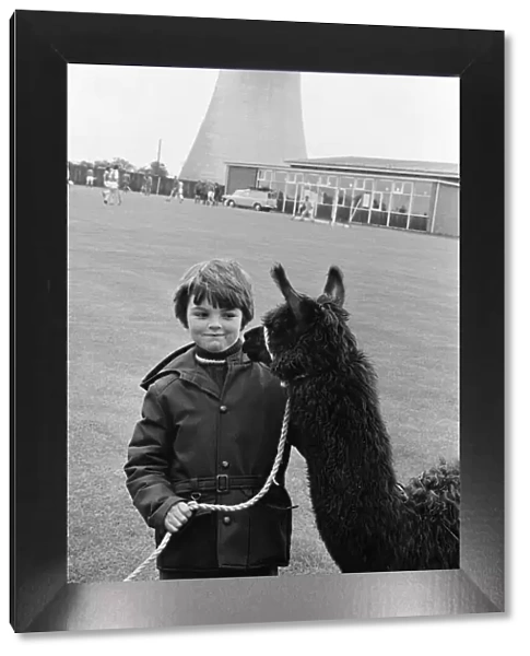 A child playing with a Llama at the ICI gala day. 1972