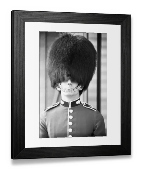 Framed Print : Bad Hair day for a Grenadier Guard on sentry duty outside Buckingham Palace trying to Framed Print : Bad Hair day for a Grenadier Guard on sentry duty outside Buckingham Palace trying to