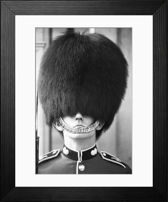 Framed Print : Bad Hair day for a Grenadier Guard on sentry duty outside Buckingham Palace 14th October Framed Print : Bad Hair day for a Grenadier Guard on sentry duty outside Buckingham Palace 14th October